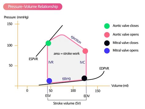 lv pressure volume curve